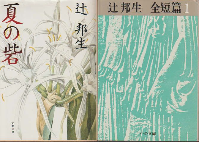 「夏の砦」 「辻邦夫 全短編1」 2冊セット