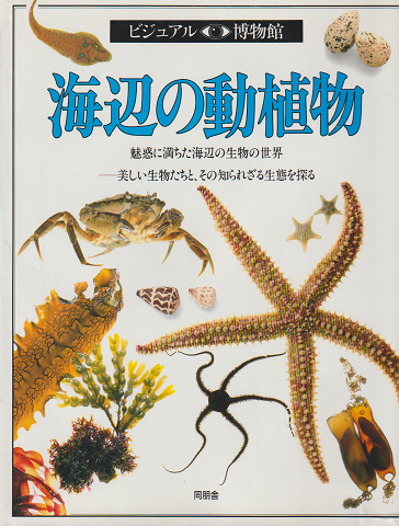 海辺の動植物 : 魅惑に満ちた海辺の生物の世界 美しい生物たちと、その知られざる生態を探る