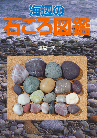 海辺の石ころ図鑑