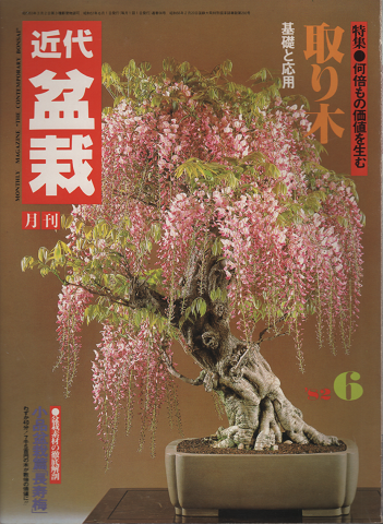 月刊「近代盆栽」1982.06 特集:何倍もの価値を生む取り木