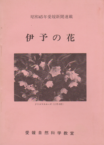 伊予の花