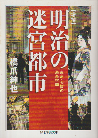 明治の迷宮都市 : 東京・大阪の遊楽空間