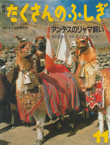 月刊「たくさんのふしぎ」1991年11月号(第80号)「アンデスのリャマ飼い」