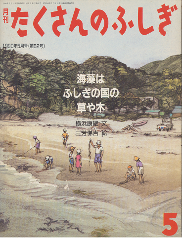 月刊たくさんのふしぎ1990年5月号(第62号)「海藻はふしぎの国の草や木」