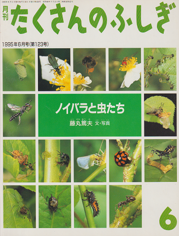 月刊たくさんのふしぎ 1995年6月号(第123号) ノイバラと虫たち