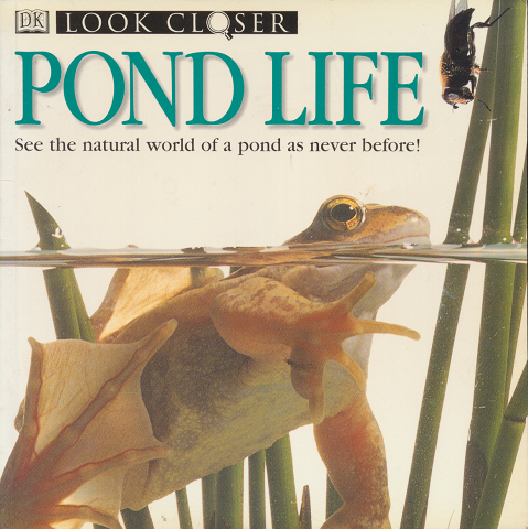 POND LIFE