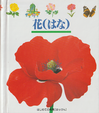 はじめての発見15 花(はな)