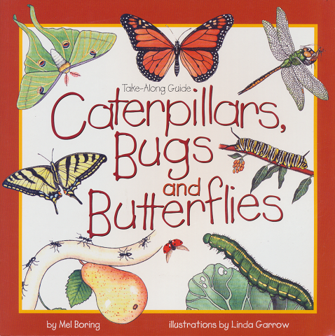Caterpillars, Bugs and Butterflies