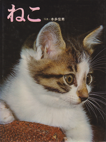 ねこ