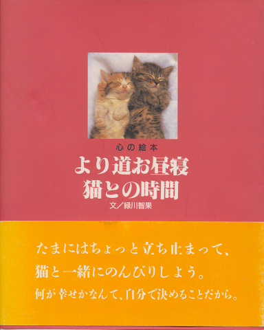 より道お昼寝猫との時間
