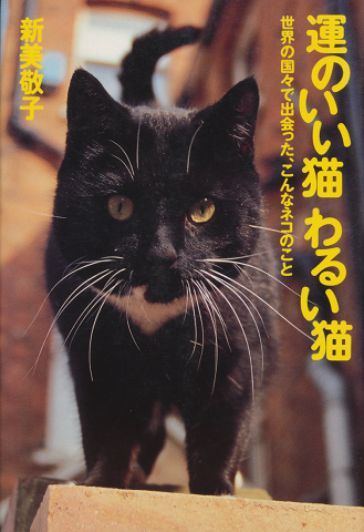 運のいい猫わるい猫 : 世界の国々で出会った、こんなネコのこと