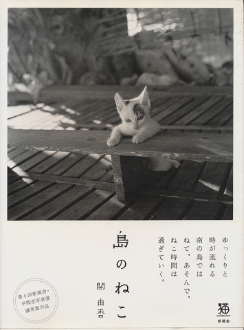 島のねこ