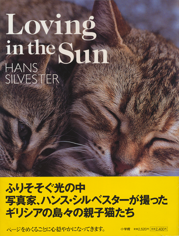 Loving in the sun