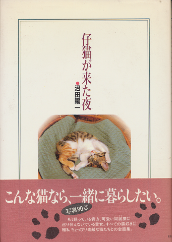 仔猫が来た夜