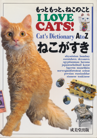 ねこがすき : もっともっと、ねこのこと