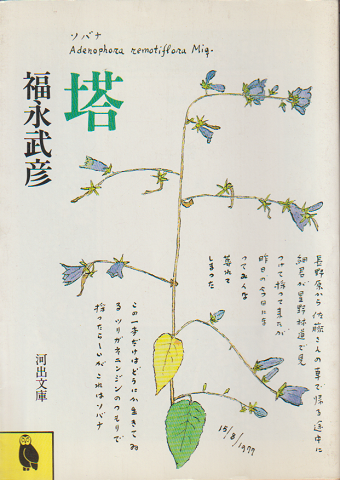 塔