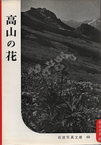 岩波写真文庫 60 高山の花