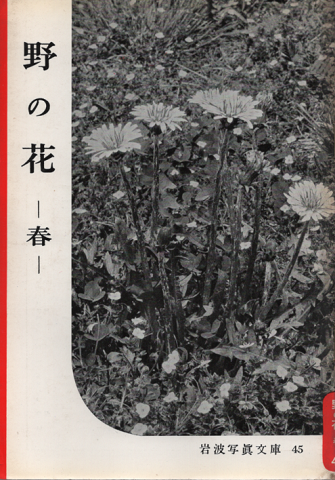 岩波写真文庫 45 野の花 : 春