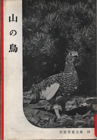 岩波写真文庫 31 山の鳥