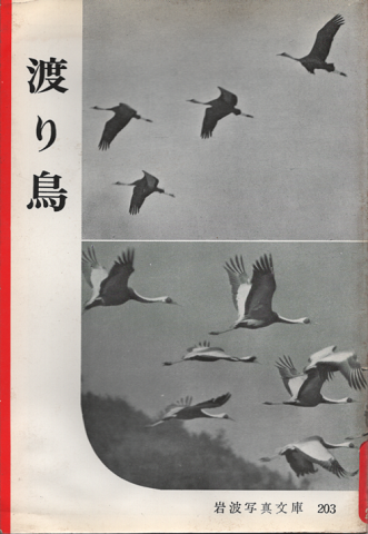 岩波写真文庫 203 渡り鳥