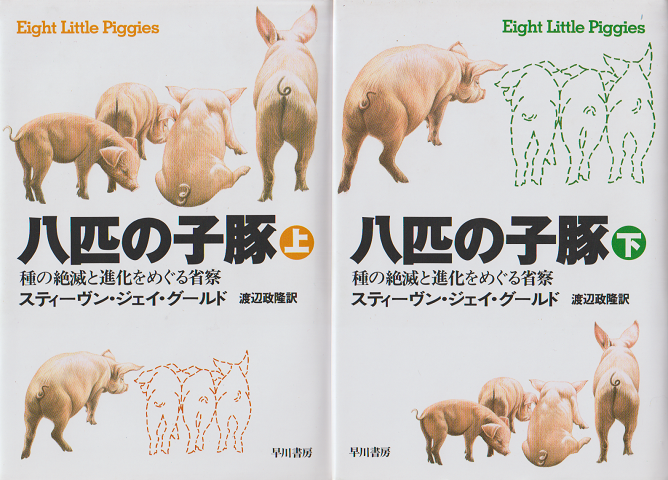 八匹の子豚 : 種の絶滅と進化をめぐる省察 上下巻(2冊セット)