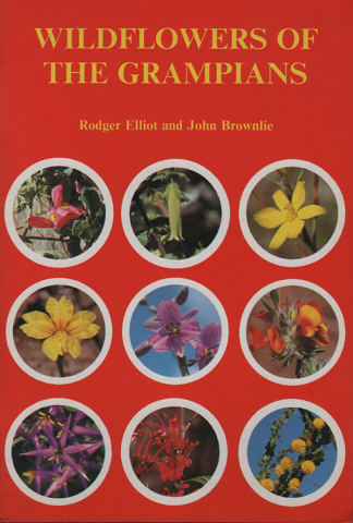 WILDFLOWERS OF THE GAMPIANS