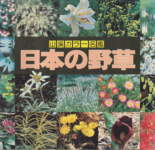 日本の野草