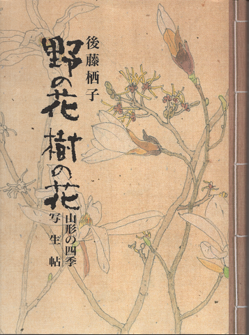 野の花 樹の花 山形の四季 写生帖