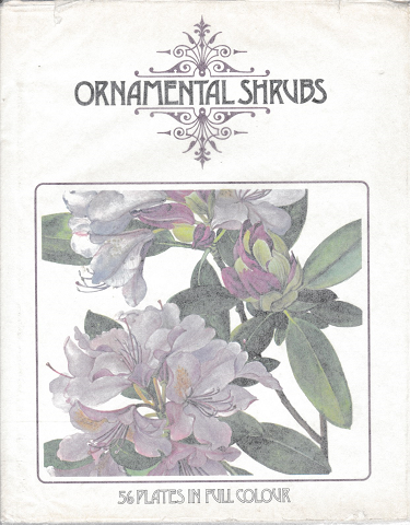洋書 ORNAMENTAL SHRUBS