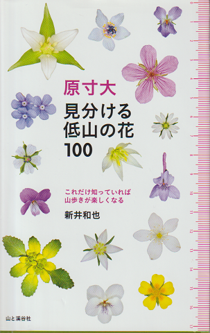 原寸大見分ける低山の花100 : これだけ知っていれば山歩きが楽しくなる