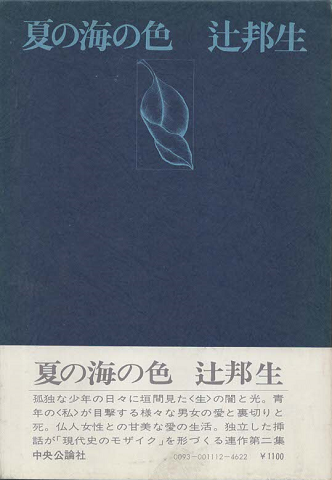 夏の海の色